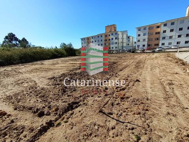 #4 - Terreno para Venda em Palhoça - SC - 2